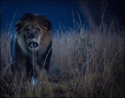 wallpappers006 (1024x800, 219 kБ...)